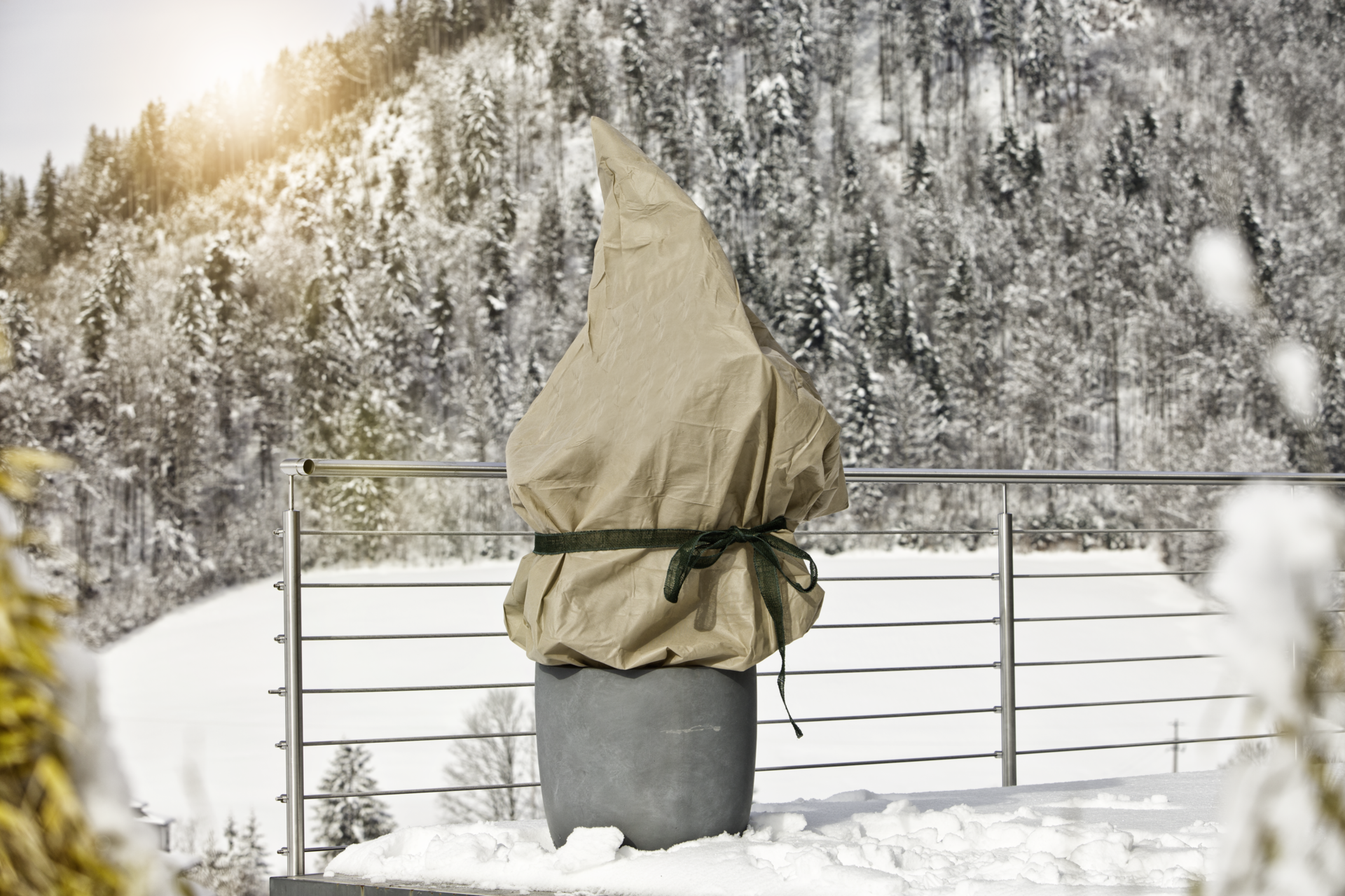 Housse D'hiver Windhager - 1,2x1,8m, 100g/m², Protection Plantes Contre Gel Et Vent, Perméable