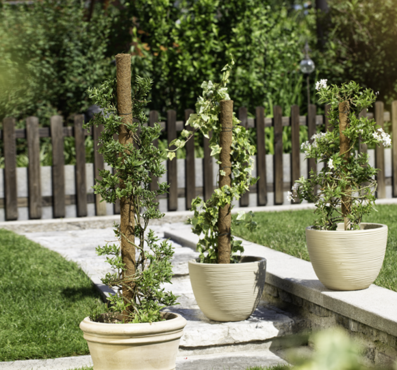 Pflanzstab Kokos | Produkte | Windhager Home & Garden