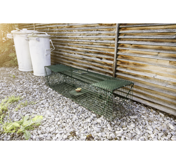 hundebett grentabelle Luxe Kunstleder faltbares orthopdisches groes Hundebett