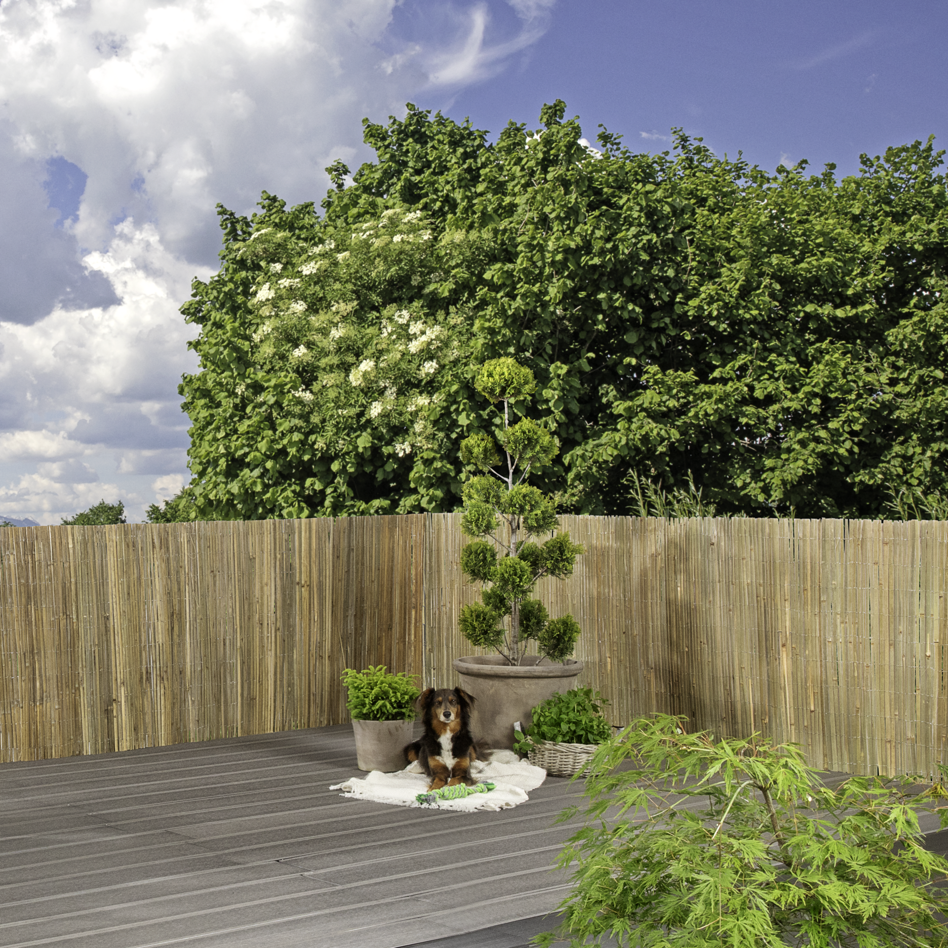 Sichtschutzmatte MITAKE | Produkte | Windhager Home & Garden