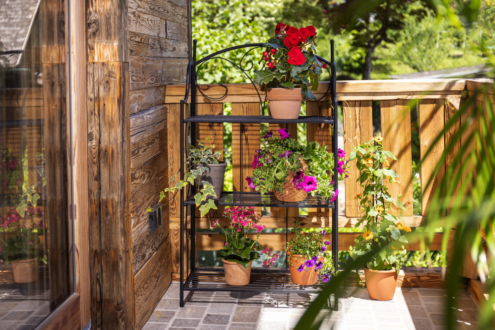 Pflanzenregal | Produkte von Windhager Home & Garden