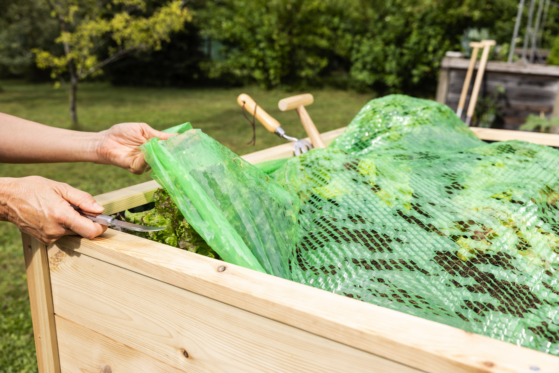 Frhbeet-Schlitzfolie MITWACHSEND | Produkte | Windhager Home & Garden