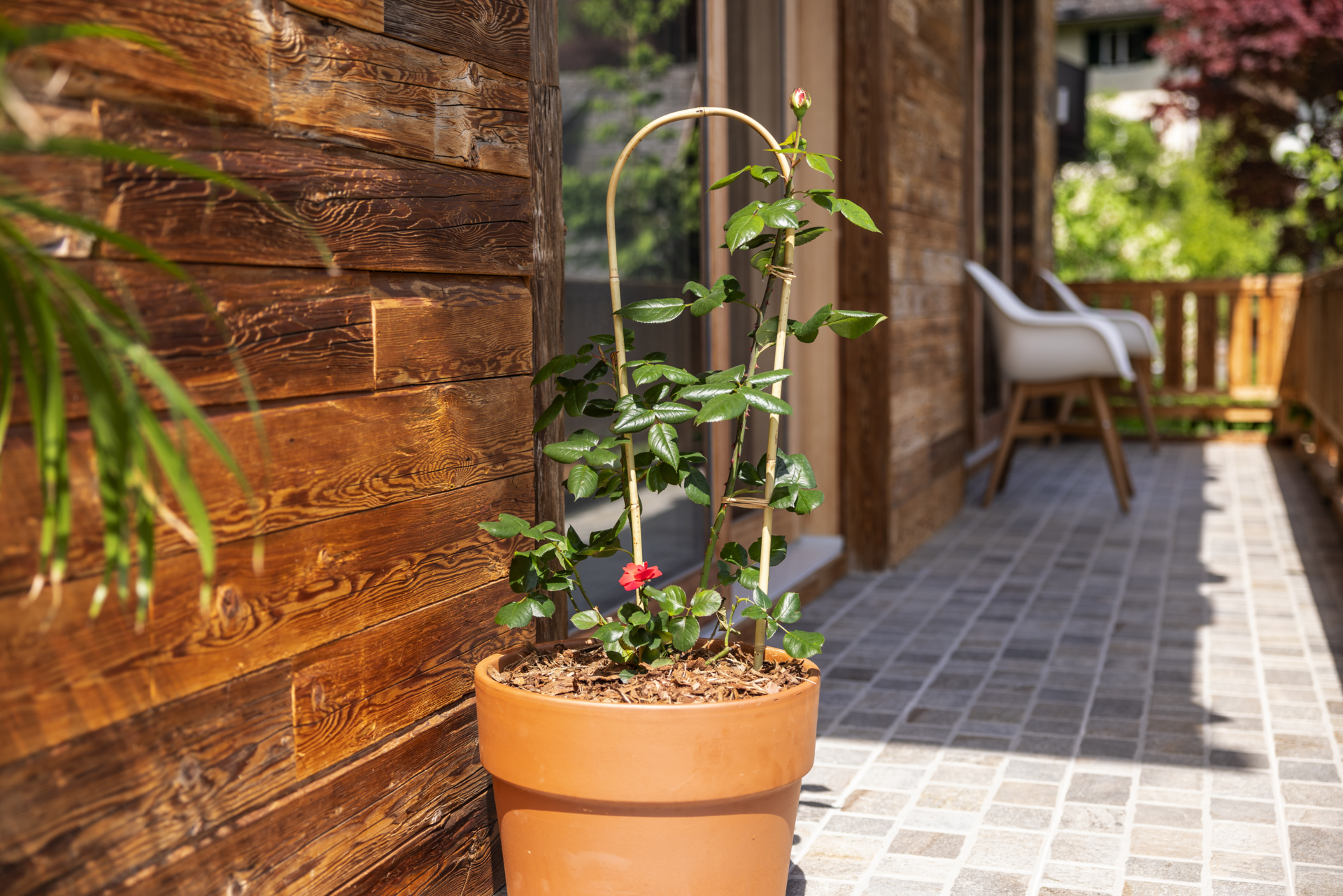 Bambus Bogenspalier | Produkte | Windhager Home & Garden