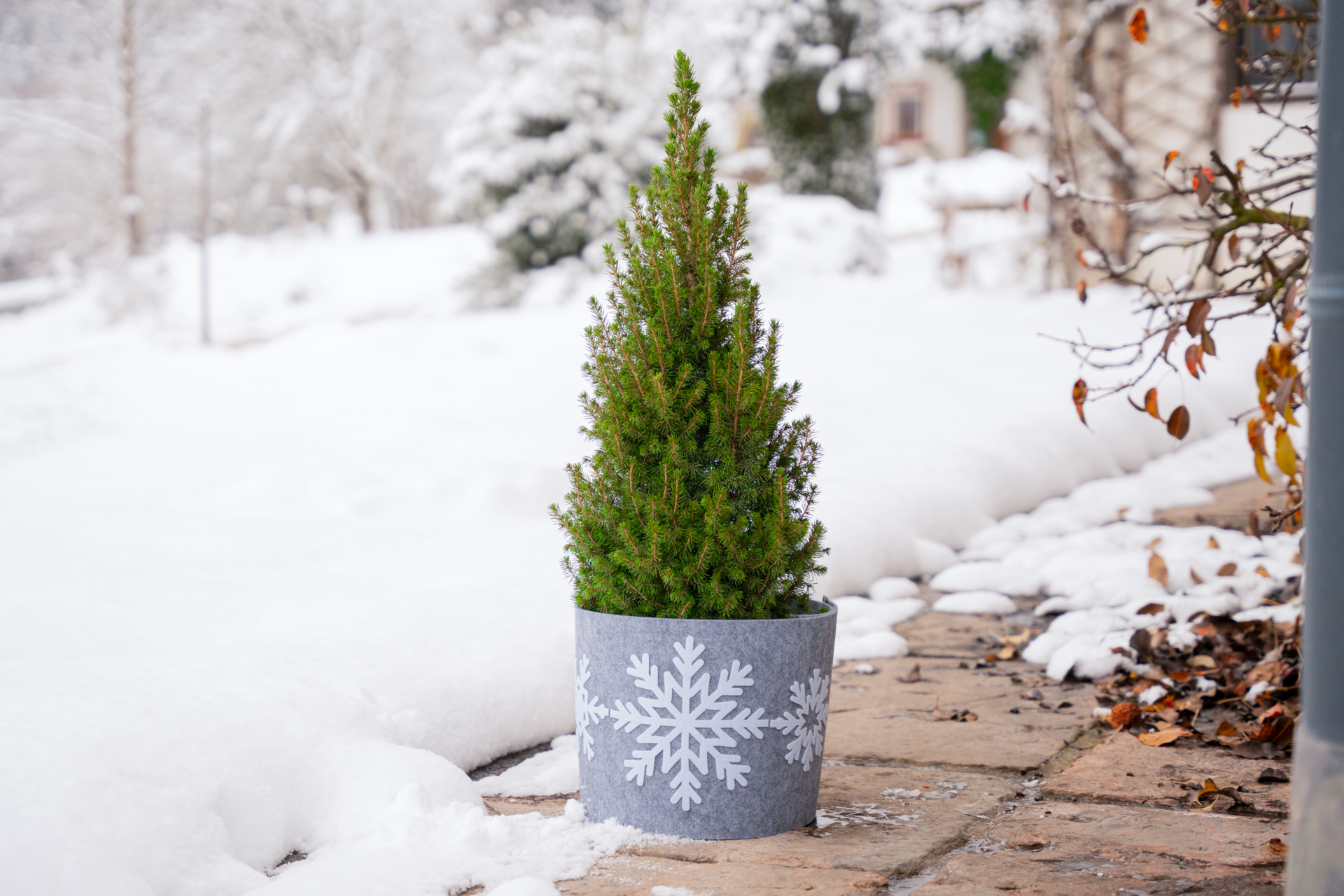 Decorative felt pot protector SNOWFLAKE | Windhager Home & Garden