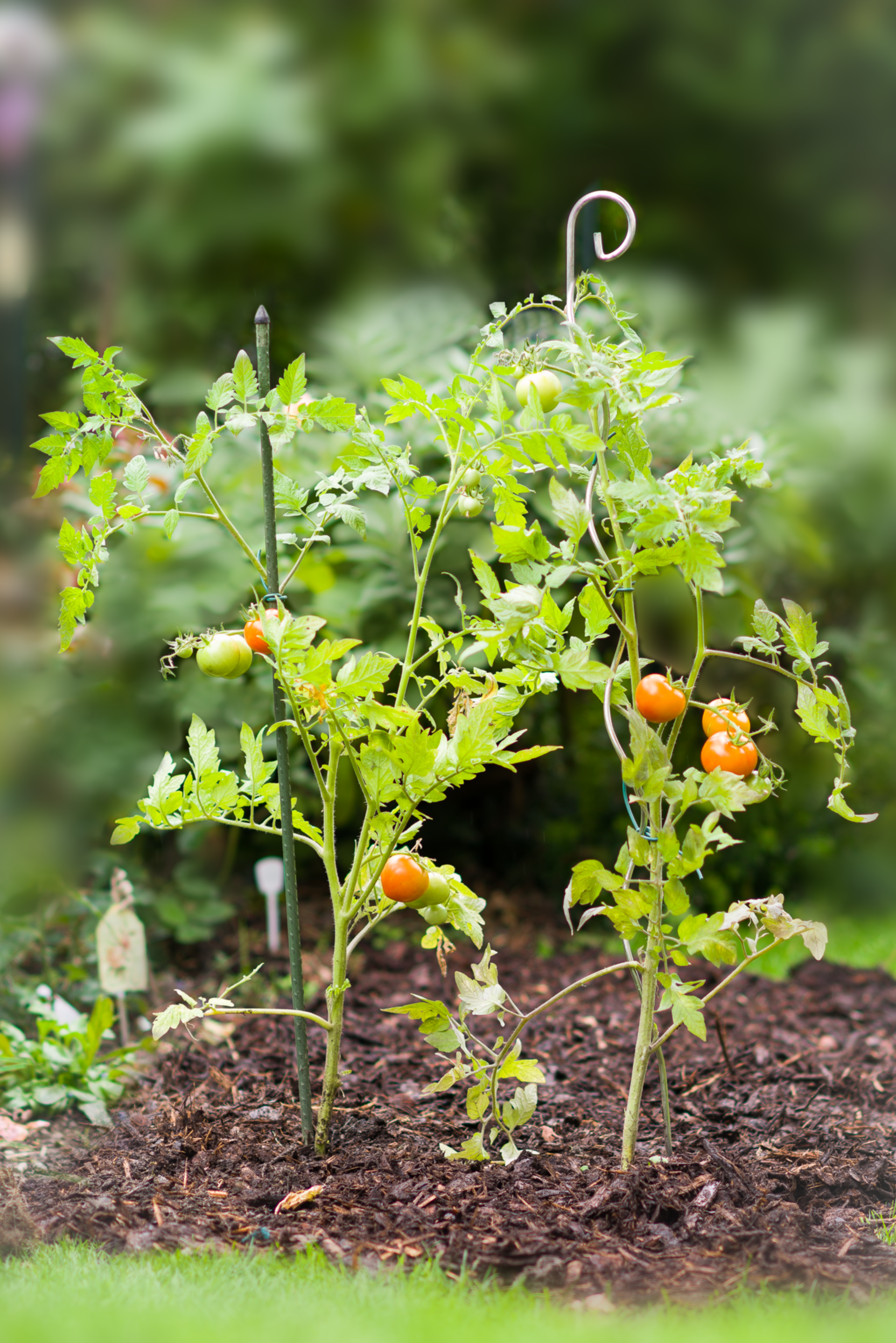 selbstgebaute blumenkästen Rechteckige Blumenkasten zum selber bauen – Potflex