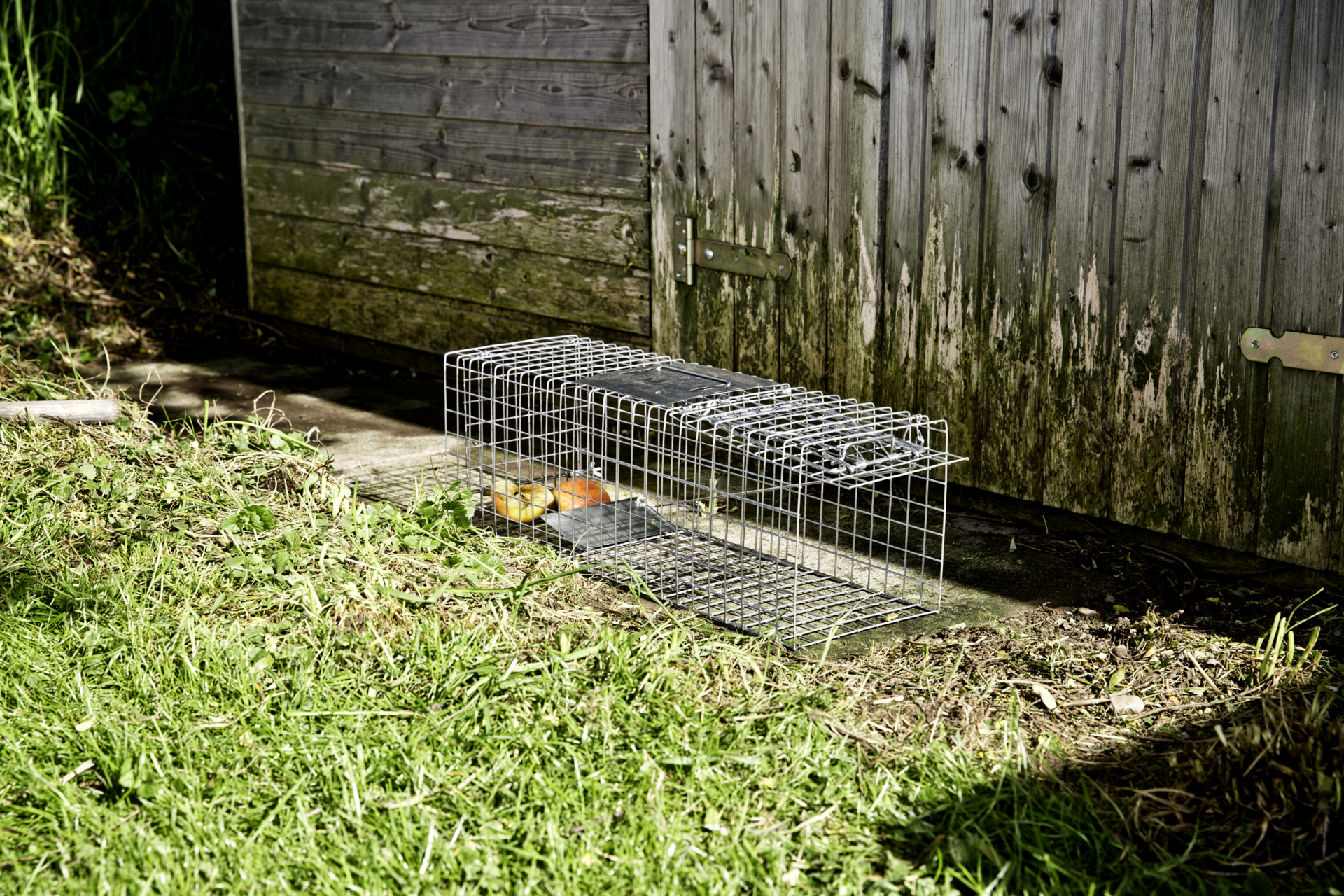 Marderfalle Drahtkasten | Produkte | Windhager Home & Garden