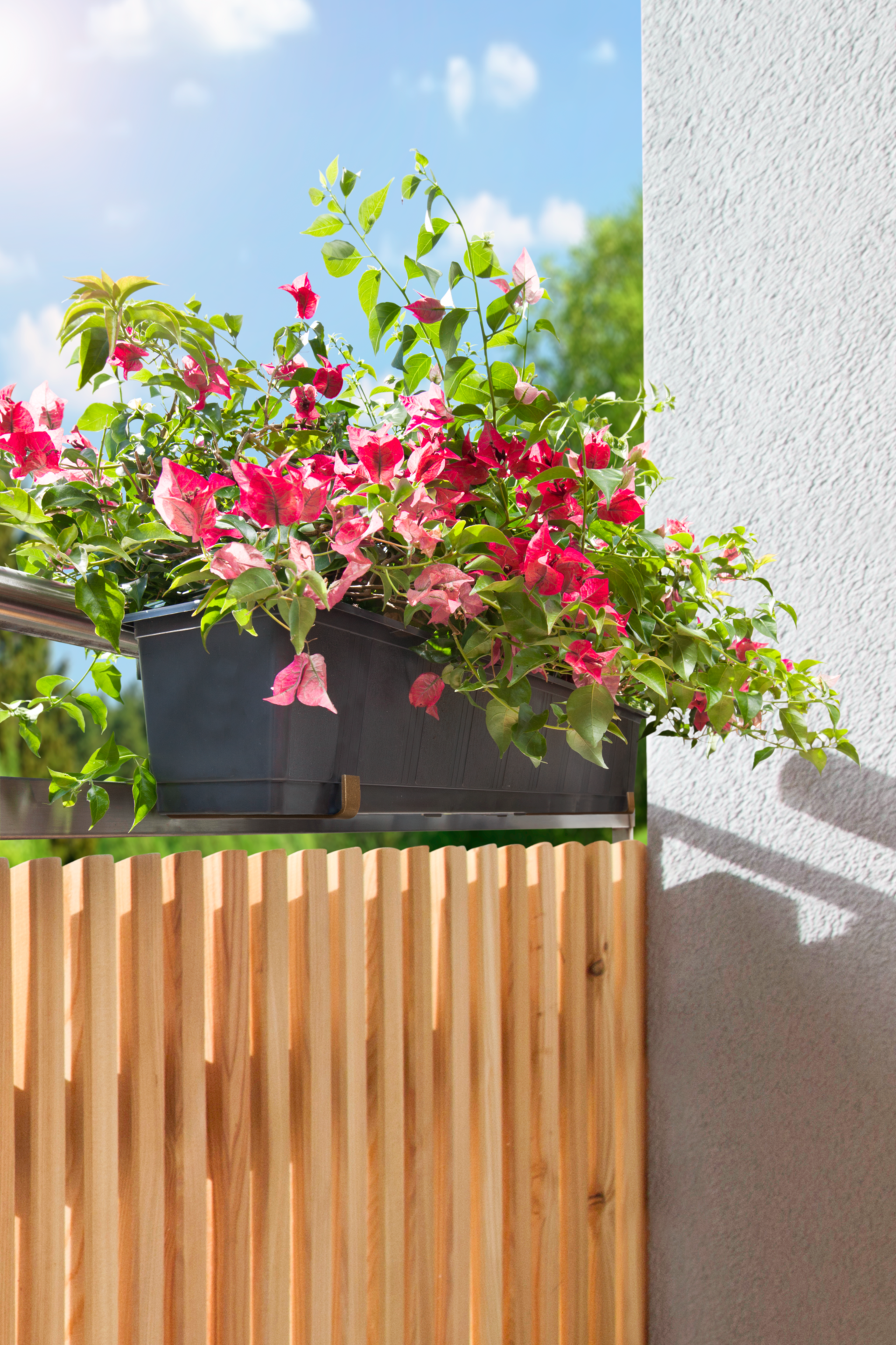 Blumenkasten-Halter - 1 x verstellbar | Produkte