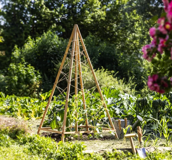Wooden garden teepee cheap